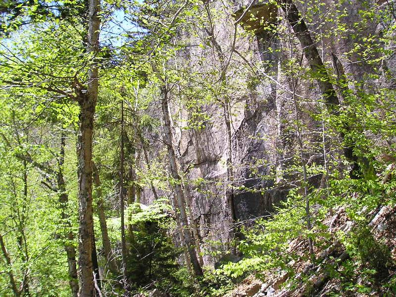 SquareLedge (9).JPG - The ledge was a massive sight in the woods. Circling high above us were a pair of peregrine falcons.